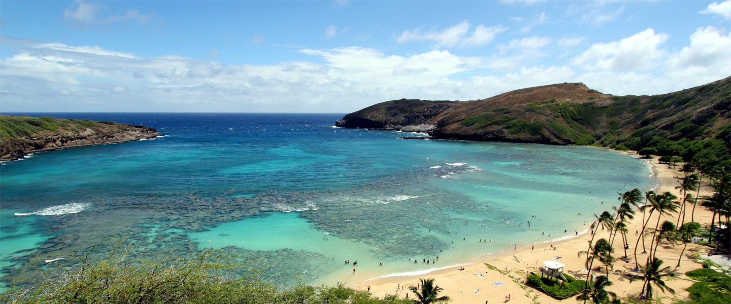 Cost to live in hawaii Professional services for the auto
